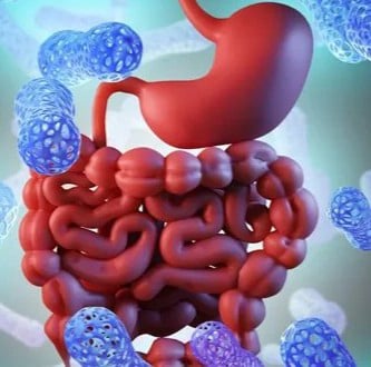 GutVitali gut health